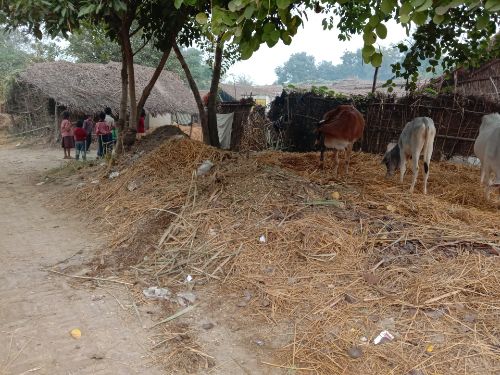 बहराइच खंडहर मे तबदील होता नजर आ रहा नरोत्तमपुर गांव। रिपोर्ट // आमिर शिवपर।