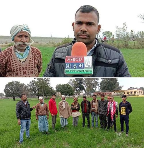 बहराइच कृषि विज्ञान केंद्र प्रभारी डॉ एम.पी. सिंह के निर्देशों में किया जा रहा खेतों का औचक निरीक्षण। रिपोर्ट :- पंकज कुमार सिंह।