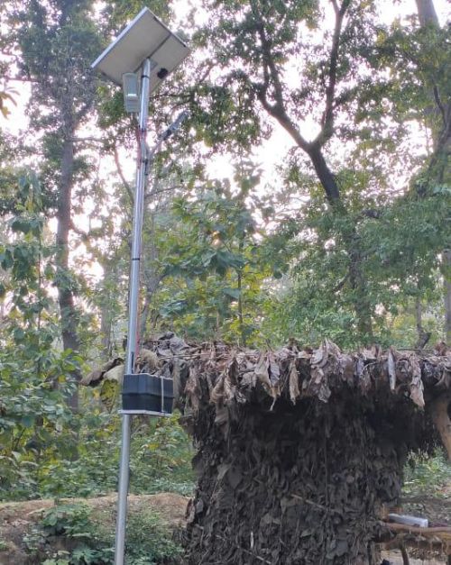 बहराइच वन क्षेत्रों में लगवाई गयी सोलर लाइट, अवैध कटान व तस्करी पर रोकथाम की कवायद। रिपोर्ट :- पंकज कुमार सिंह।