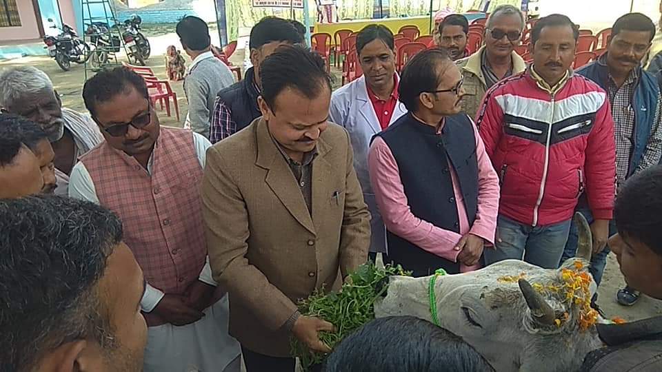 पंडित दीनदयाल उपाध्याय पशु रोग शिविर मेले का आयोजन किया गया