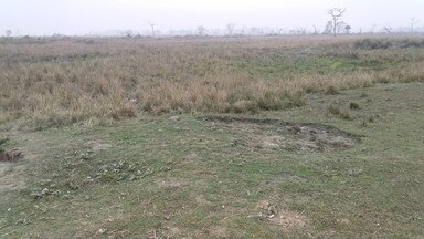  बगहा.वनक्षेत्र की दो सौ एकड़ भूमि पर अतिक्रमणकारियों की नजर वनक्षेत्र की दो सौ एकड़ भूमि पर अतिक्रमणकारियों की नजर।।