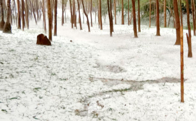 मोतिहारी।आज और कल खराब रहेगा मौसम, होगी बारिश और चलेंगी तेज हवाएं