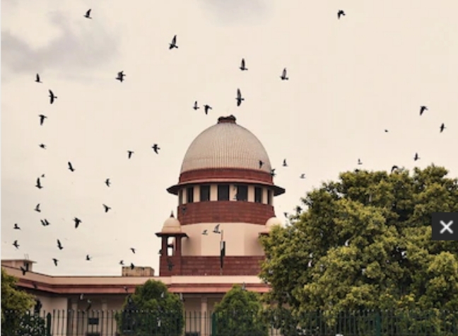 शाहीन बाग मामला: सुप्रीम कोर्ट ने कहा- वार्ताकारों को नहीं मिली सफलता, 23 मार्च को होगी अगली सुनवाई
