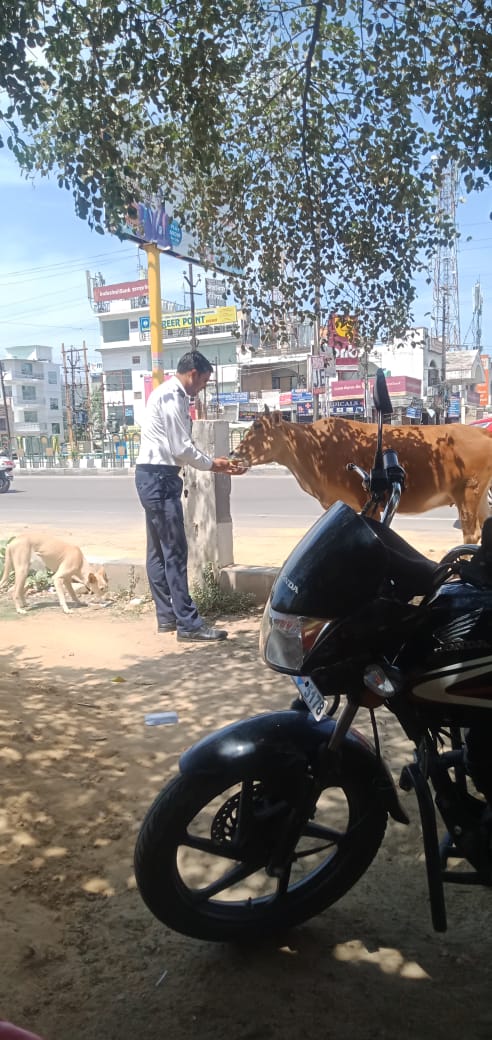 बेजुबान जानवरों का सहारा बनी ट्रैफिक पुलिस