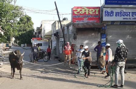 नगर आयुक्त ने लॉक डाउन में शुरू की बहुप्रतीक्षित कान्हा गौशाला,345 आवारा गौवंश पहुँचे आश्रय स्थल