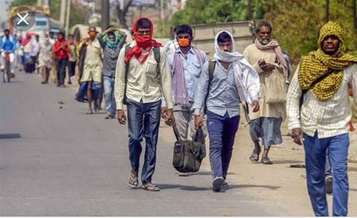 लॉकडाउन की अवधि के समय भी गन्ना किसानों के लिए मददगार साबित हो रही है, ई.आर.पी. व्यवस्था।।।नसीम खान।।।।