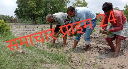 बहराइच कृषि विज्ञान केंद्र प्रभारी डॉ एम.पी. सिंह के कार्यशैली पर पूरी तरह से संतुष्ट हैं बौंडी के किसान।