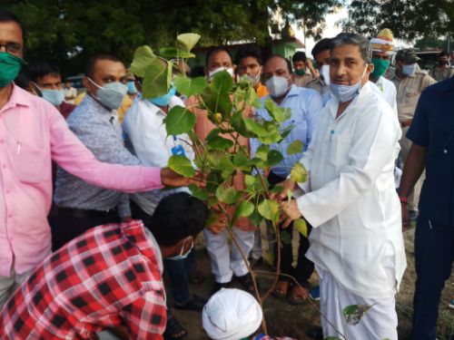 सहकारिता मंत्री मुकुट बिहारी वर्मा ने आज कोनारी डाक बंगले पर  अधिकारियो के साथ समीक्षा कर किया वृक्षारोपण ।