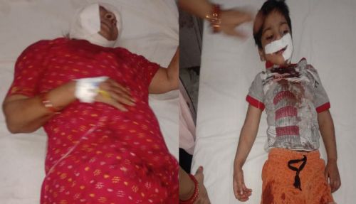 गोण्डा: धारदार हथियार से भाभी की नृशंस हत्या, मां के साथ ही दो भतीजे भी हमले में घायल।