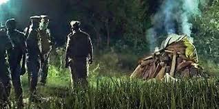 हाथरस कांड: पीड़िता के भाई ने कहा- अस्थियां नहीं होगी विसर्जित, जब तक आरोपियों को नहीं हो जाती फांसी