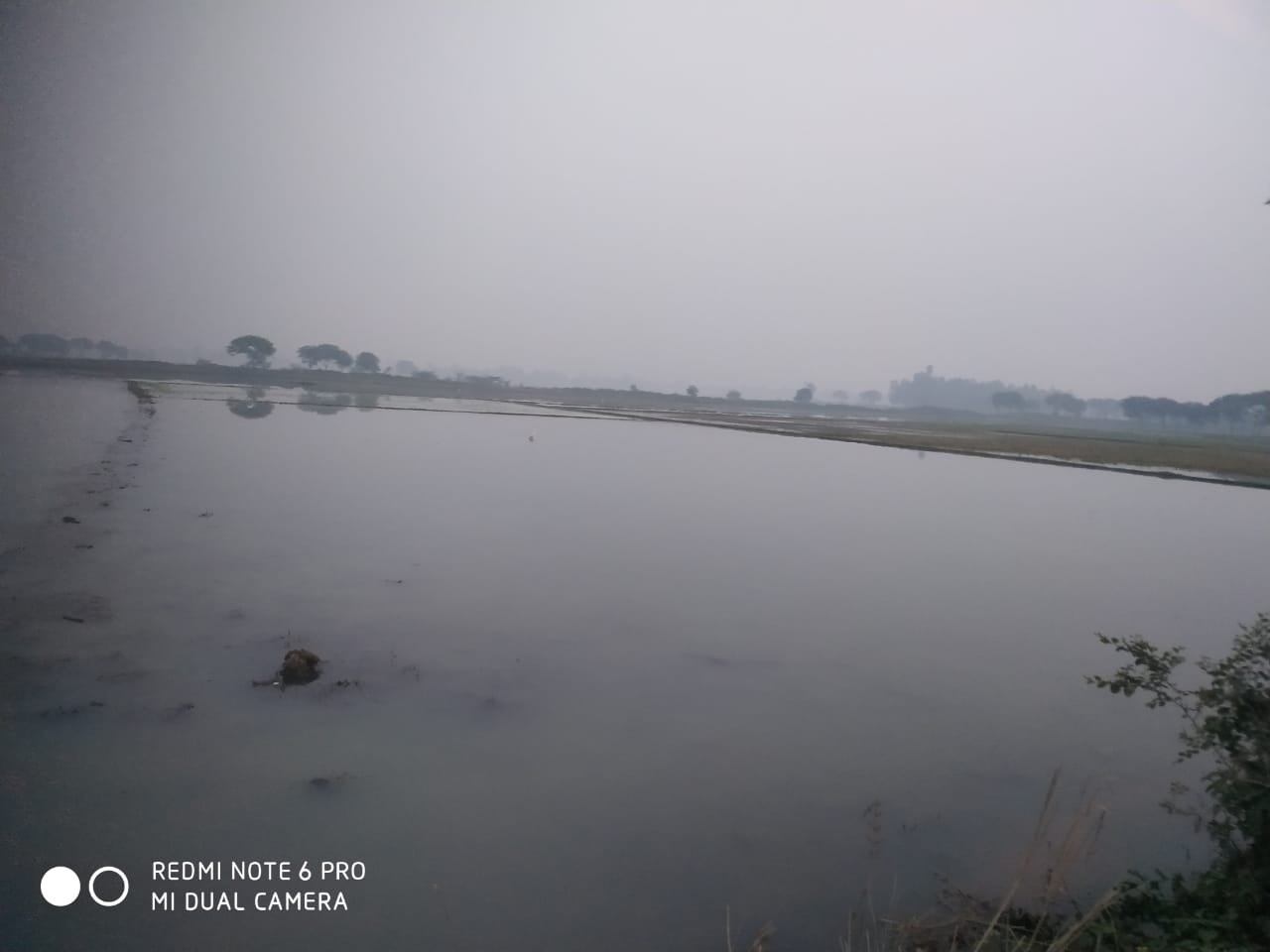 *शारदा सहायक नहर से सैकड़ो बीघा फसल जलमग्न,सब चौपट*