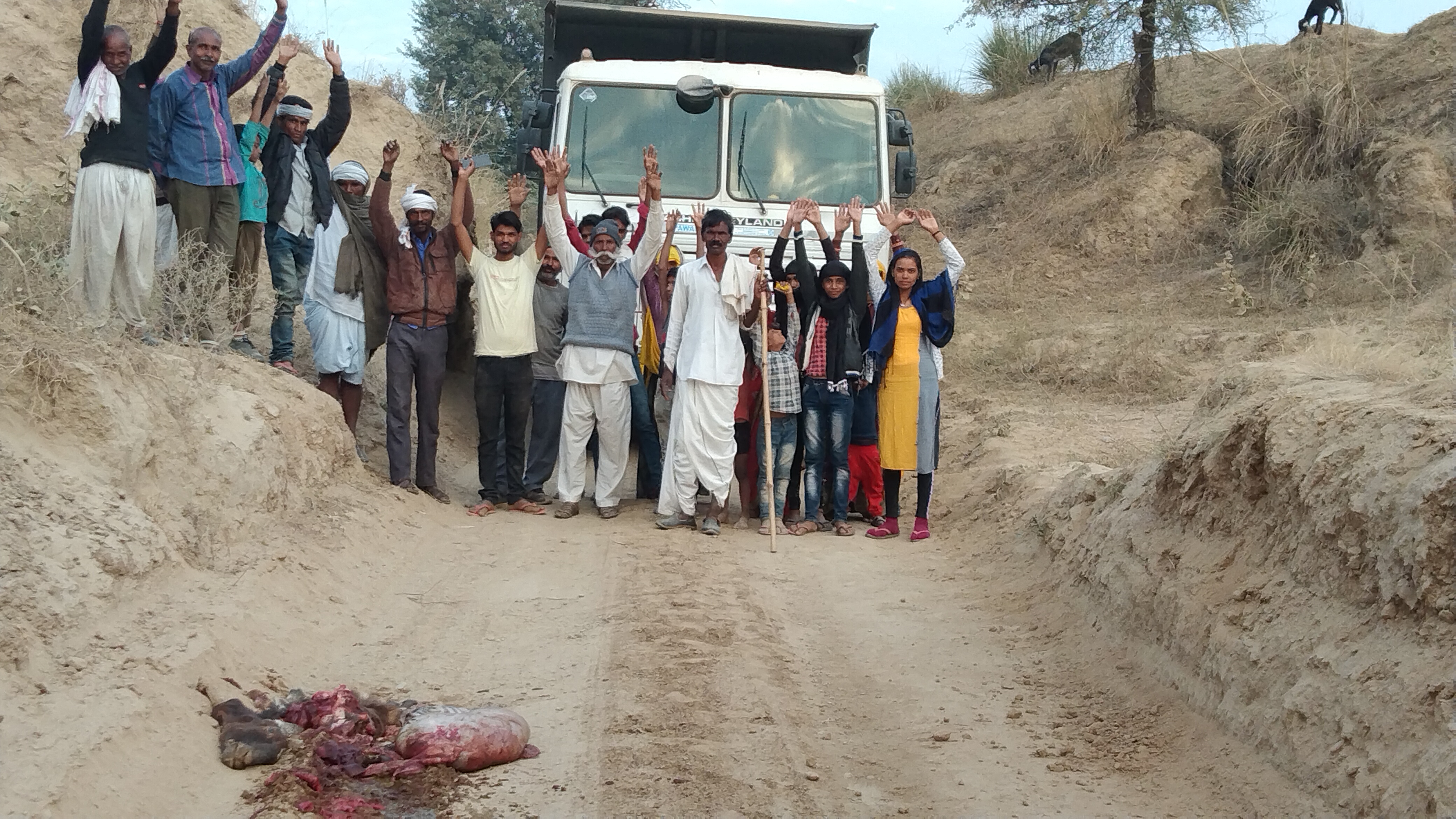 हाईवे की डंपर ने मारी टक्कर बकरी की हुई मौत