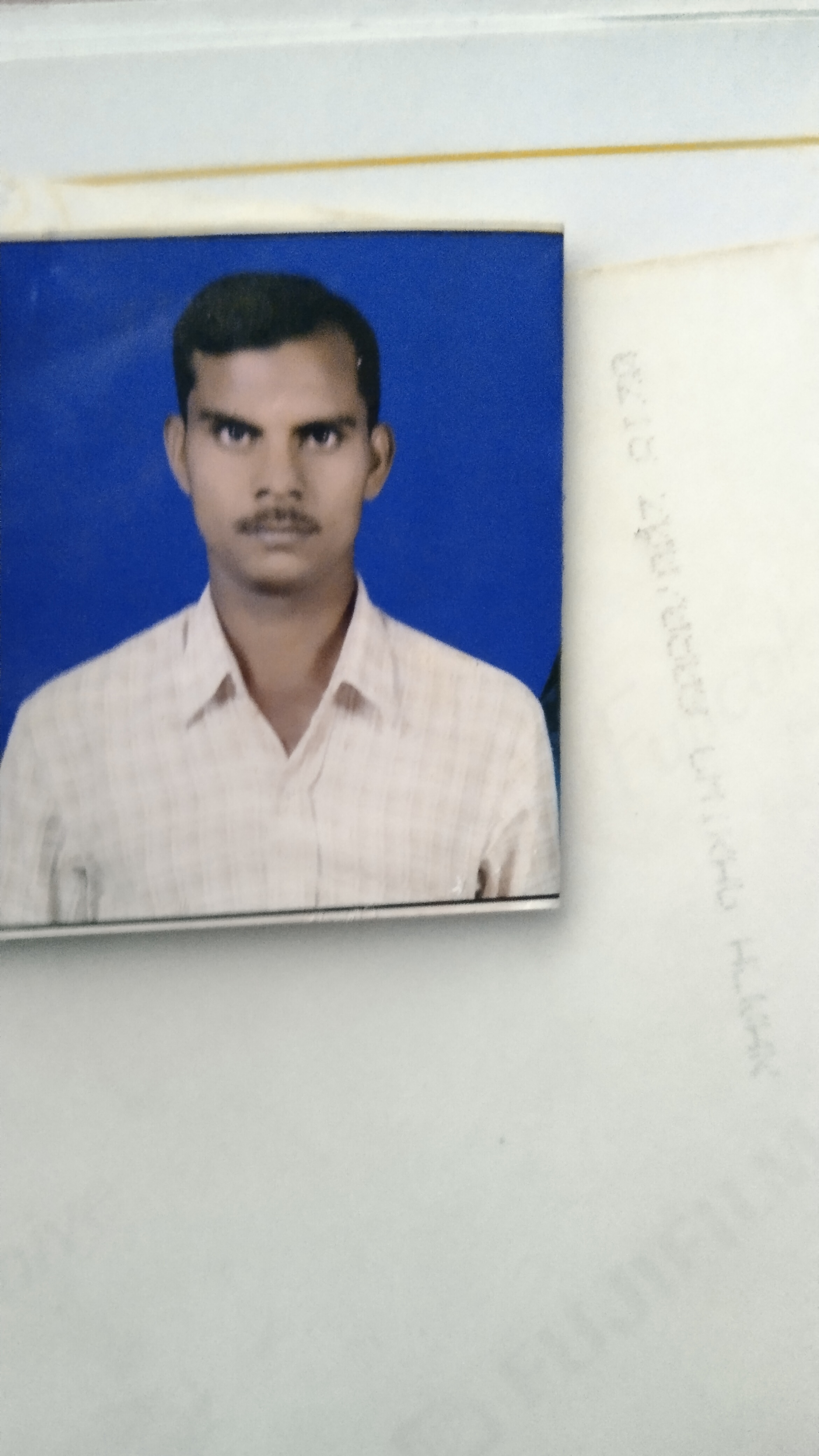 अमरचंद बैरवा संस्कार सेना के तहसील के अध्यक्ष पद पर मनोनीत
