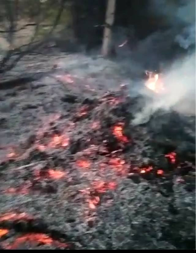 रोहट क्षेत्र के NH62 हाईवे पर स्थित खारडा  बस स्टैंड के पास आग लगने से खेत की बाड जलकर राख हो गई