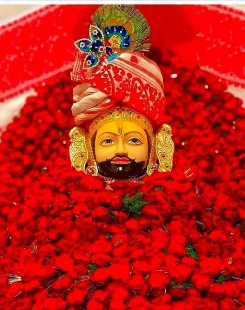 श्री श्याम प्रभु की शोभायात्रा में उमड़ा भक्तों का जनसैलाब। 
