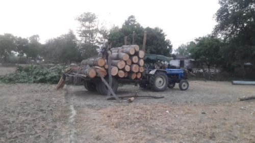 बहराइच नानपारा योगी के सपनो को पलीता लगा रहे नानपारा के वनाधिकारी।।   रिपोर्ट :- पंकज कुमार सिंह।