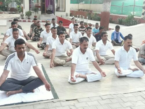 बहराइच   भारत नेपाल सीमा पर तैनात एसएसबी जवानों किया योगा, रिपोर्ट :- पंकज कुमार सिंह।
