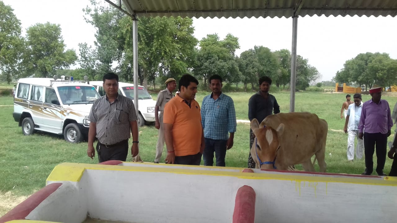 एसडीएम अतरौली  ने किया तहसील की कई गौशालाओं का ताबड़तोड़ निरीक्षण, गौशाला सभी व्यवस्थाए सही करने के दिये कड़े निर्देश