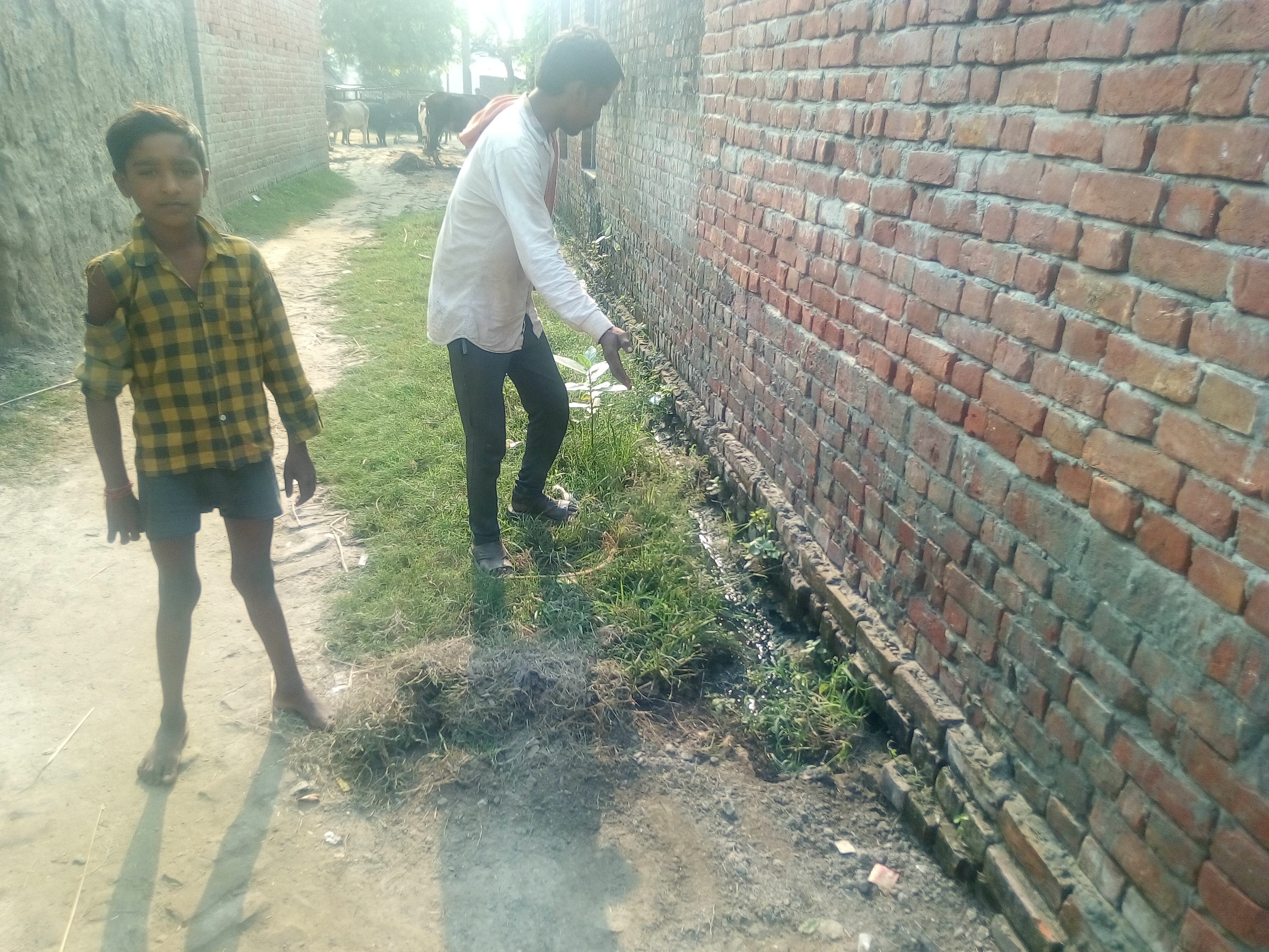 तेजवापुर ब्लॉक अंतर्गत ग्राम पंचायत तिंगाई में सफाई कर्मी की मनमानी नहीं की सालों से ग्राम पंचायत में कोई साफ सफाई*